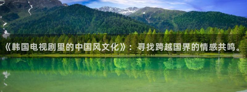 新视觉6080电影在线观看