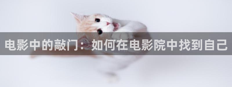 yy6090新视觉影院免费