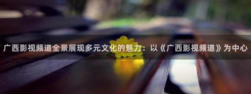 4080新视觉影视