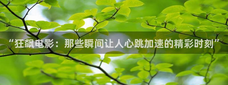 yy6080新视觉影视剧