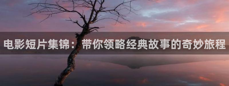 6080新视觉影院大全