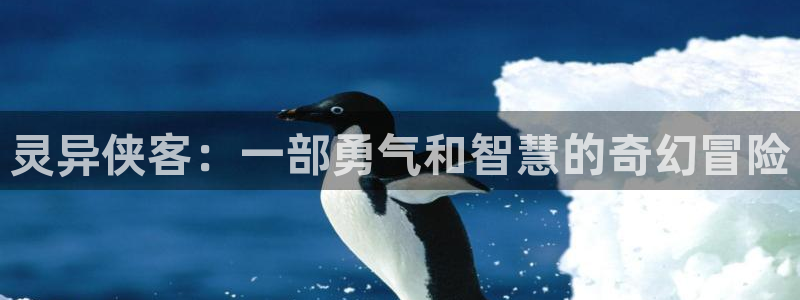 我不卡新视觉