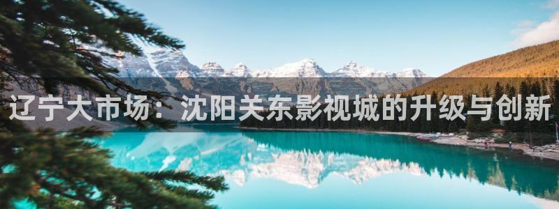 8090新视觉电影电视剧