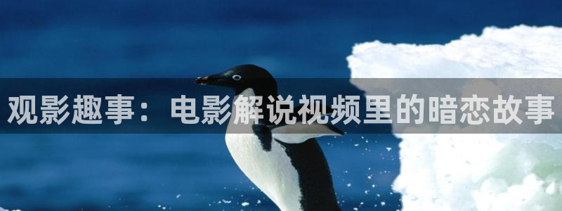 新视觉影视电视剧免费观看