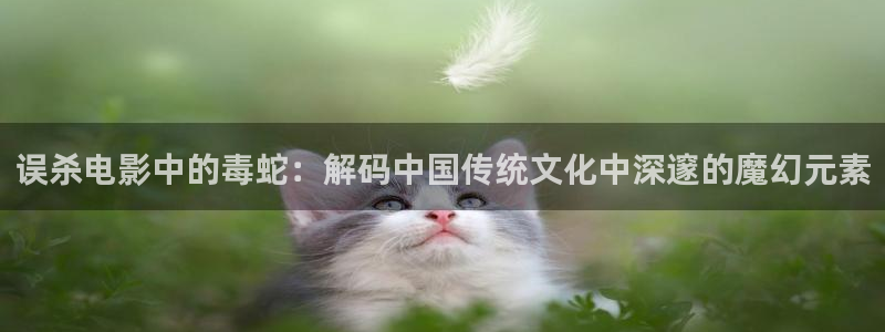 6090新视觉电影院官网