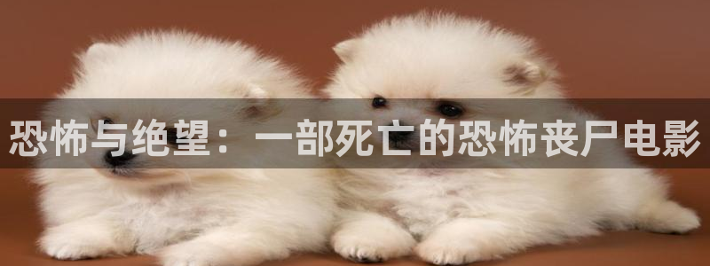 4480新视觉电影影院
