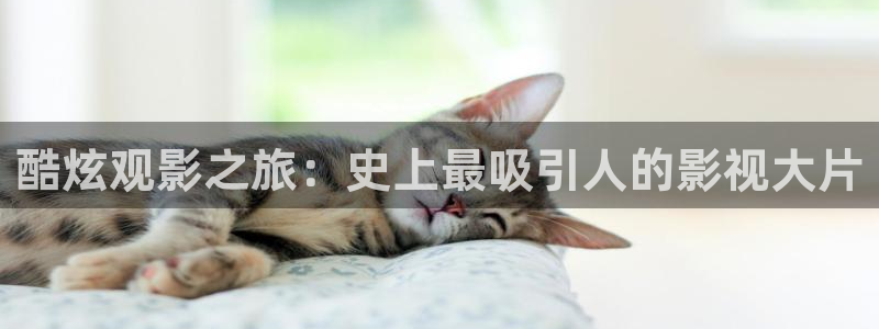 新视觉6090免费影院