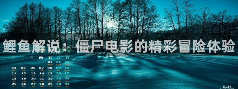 新视觉6080电影电视网