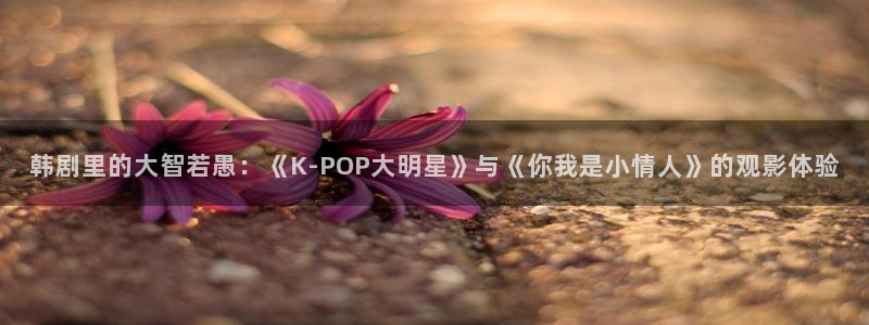 新视觉4080yy