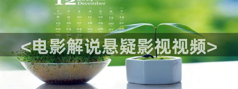 6080新视觉电影理论片