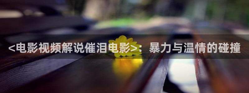 yy4080新视觉电影电视剧观看平台