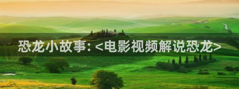 新视觉电视