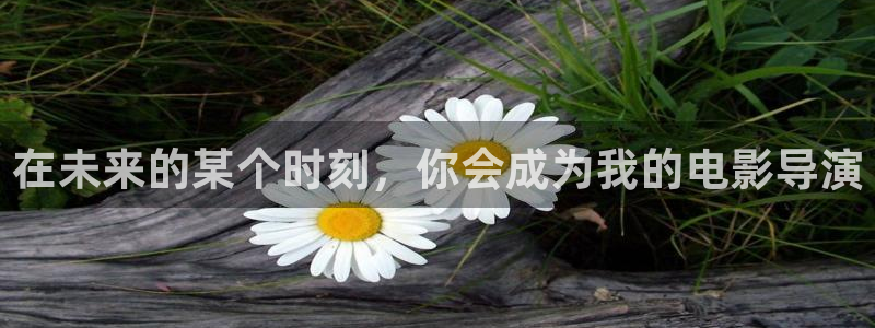 新视觉影院网站