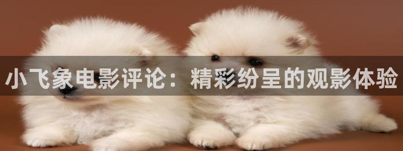 新视觉影院看
