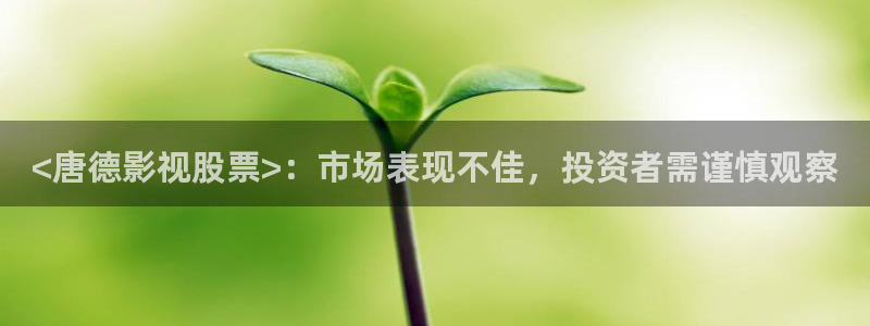 a4yy新视觉