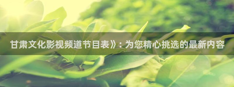 新视觉超清影院