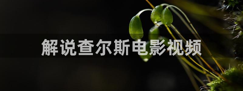 6080新视觉电影网免费观看