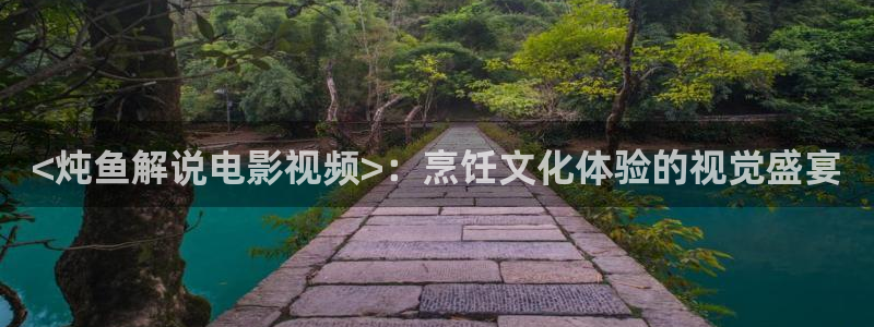 yy60新视觉：<炖鱼解说电影视频>：烹饪文化体验的视觉盛宴