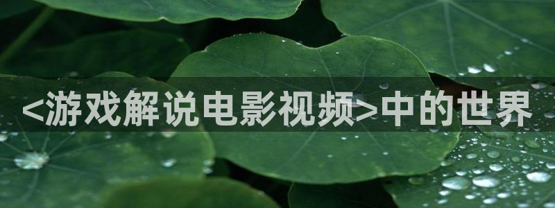 新视觉8090电影：<游戏解说电影视频>中的世界
