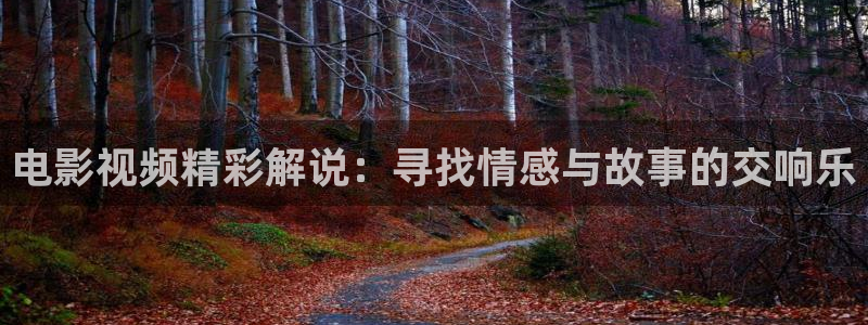 6080新视觉电影电视能看吗：电影视频精彩解说：寻找情感与故事的交响乐