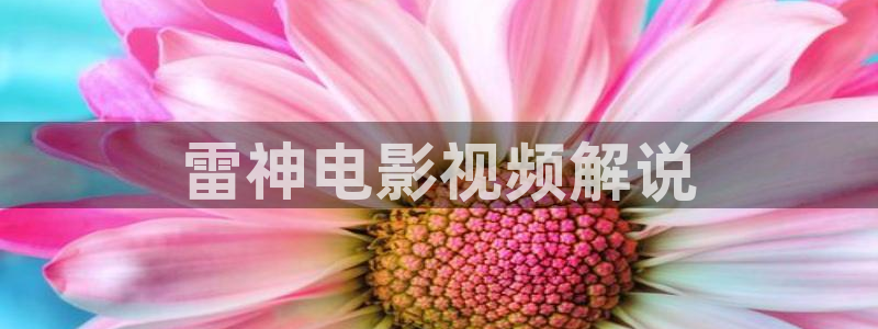 新视觉影院官网在线观看：雷神电影视频解说