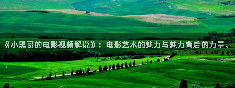 6080新视觉电影免费：《小黑哥的电影视频解说》：电影艺术的魅力与魅力背后的力量。