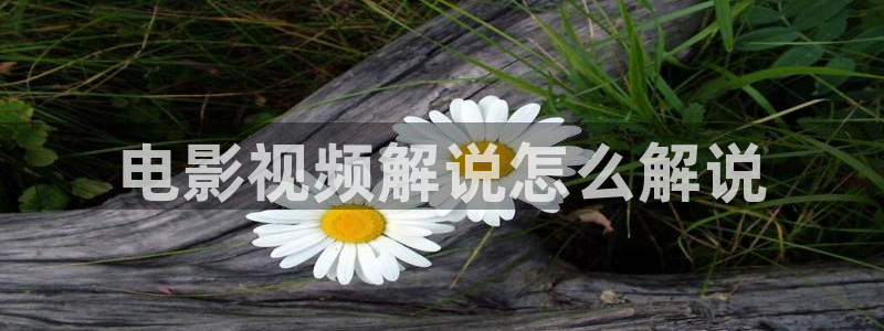 新视觉综艺完整版免费观看：电影视频解说怎么解说