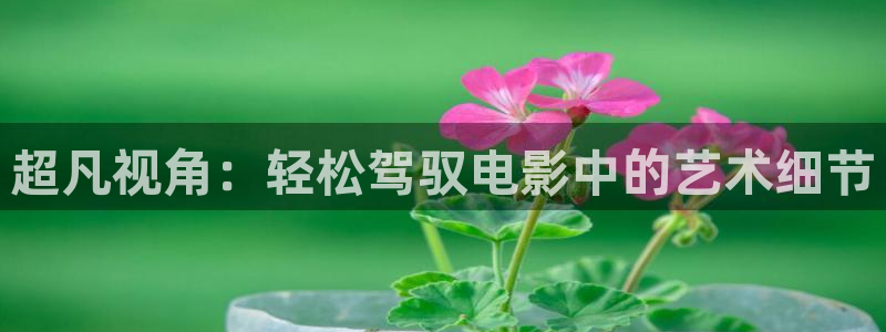 新视觉网页：超凡视角：轻松驾驭电影中的艺术细节