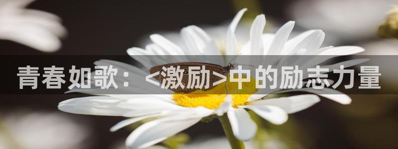 新视觉yy6080高清电视：青春如歌：<激励>中的励志力量