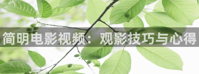 新视觉影院策驰：简明电影视频：观影技巧与心得