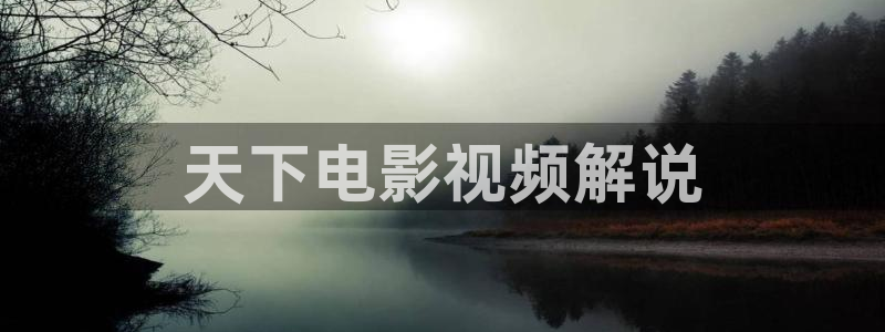 www.yy6090新视觉影院：天下电影视频解说