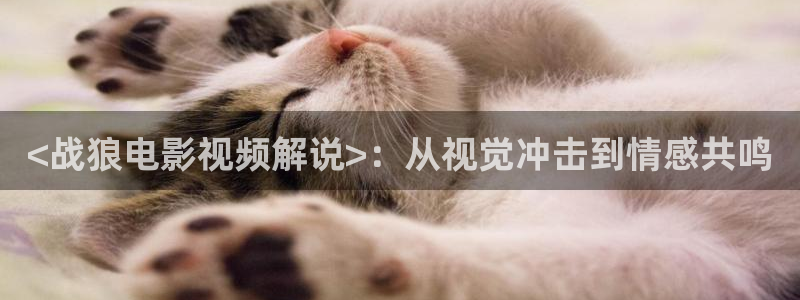 新视觉yy608：<战狼电影视频解说>：从视觉冲击到情感共鸣