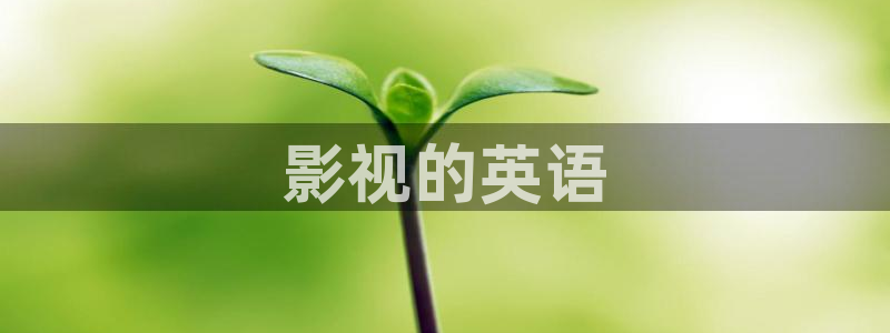 6680新视觉免费新剧在线观看：影视的英语
