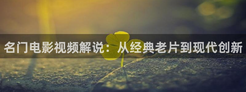8090新视觉电视剧大全