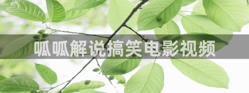 yy8090新视觉影视：呱呱解说搞笑电影视频