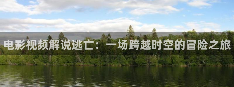 6080新视觉影视网在线：电影视频解说逃亡：一场跨越时空的冒险之旅
