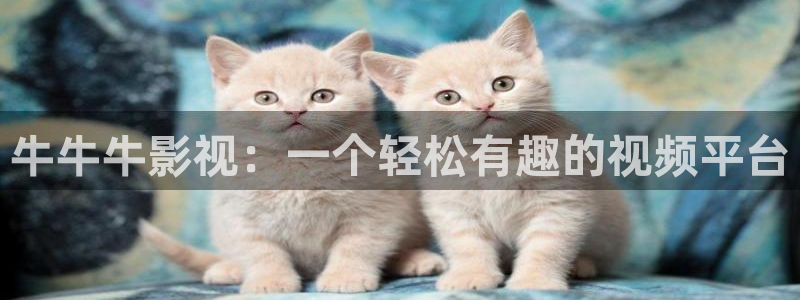 新视觉电视电影网：牛牛牛影视：一个轻松有趣的视频平台