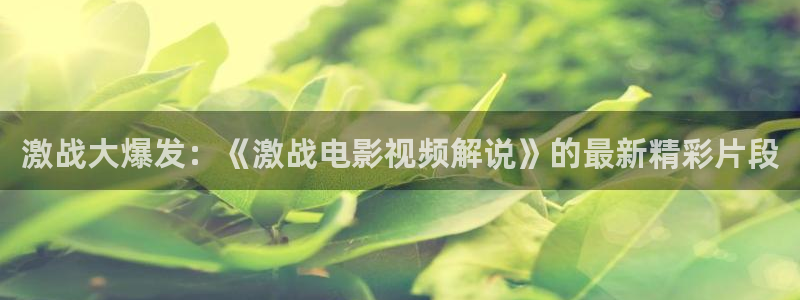 新视觉影院-yy6080电影网：激战大爆发：《激战电影视频解说》的最新精彩片段