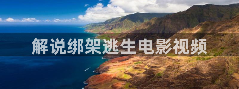 新视觉影视官网下载：解说绑架逃生电影视频