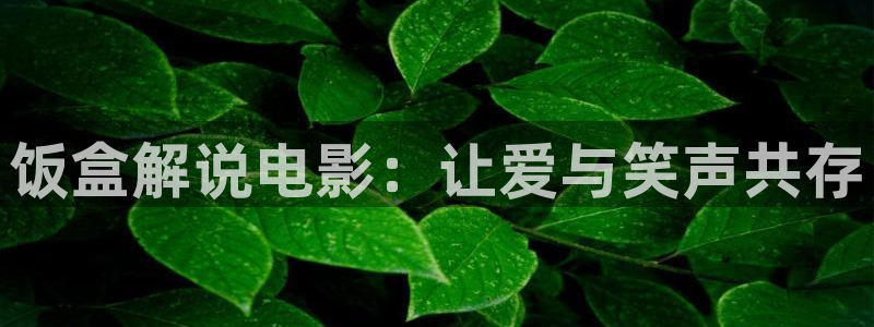 新视觉影院yy6029：饭盒解说电影：让爱与笑声共存