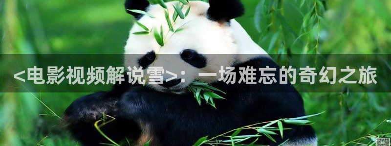 6080新视觉电影电视剧在线观看官网：<电影视频解说雪>：一场难忘的奇幻之旅