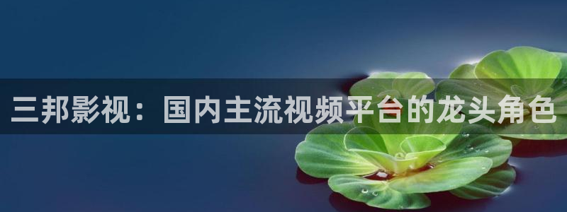 新视觉屋影院：三邦影视：国内主流视频平台的龙头角色