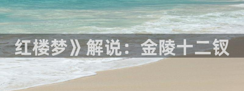 新视觉节目表：红楼梦》解说：金陵十二钗