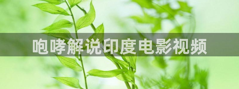 6080新视觉影视在线观看：咆哮解说印度电影视频