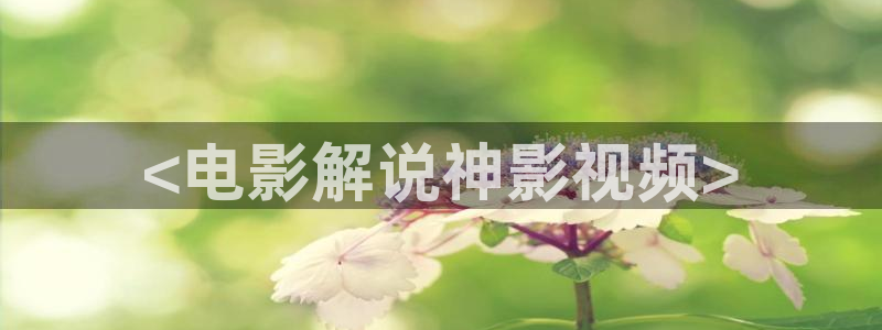 济南新视觉培训