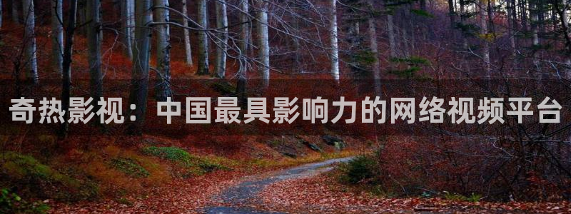 新视觉新电影