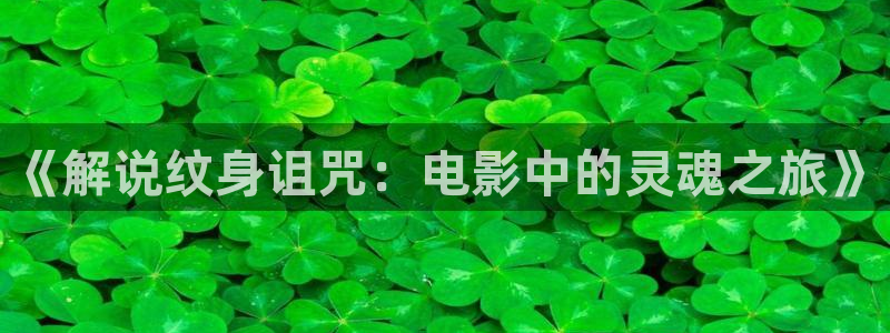 4080新视觉电影院：《解说纹身诅咒：电影中的灵魂之旅》