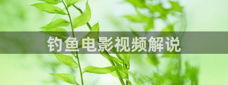 6080新视觉电影理论电视剧在线观看美：钓鱼电影视频解说
