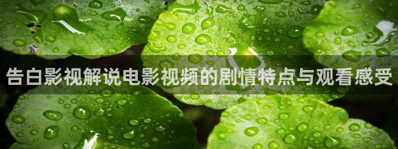 新视觉影院大全：告白影视解说电影视频的剧情特点与观看感受