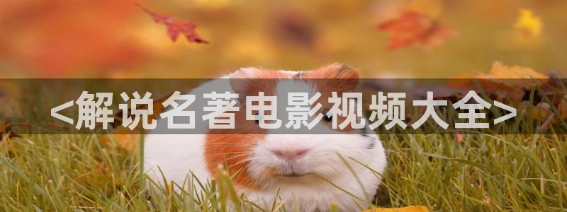 6080新视觉最新电影有哪些：<解说名著电影视频大全>